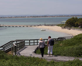 Penguin Island Boardwalks And Walk Trail - Accommodation Directory 1