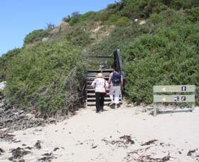 Penguin Island Boardwalks And Walk Trail - Accommodation Directory 2