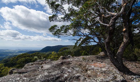 Illawarra Lookout Walking Track - Accommodation Directory 2