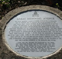 Anzac Memorial Avenue Redcliffe - Accommodation Directory