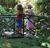 EG Waterhouse National Camellia Garden - Accommodation Directory