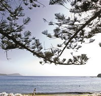 Terrigal Beach - Accommodation Directory