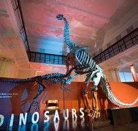 Australian Museum - Accommodation Directory