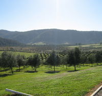 Hastings Valley Olives - Accommodation Directory