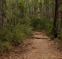 Pigeon House Mountain Didthul walking track - Accommodation Directory