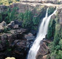 Minnamurra Rainforest Centre Budderoo National Park - Accommodation Directory