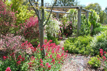 Ivy Hill Gallery - Accommodation Directory 6