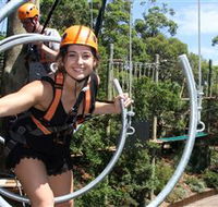 Wild Ropes at Taronga Zoo - Accommodation Directory