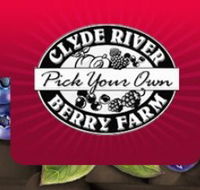 Clyde River Berry Farm - Accommodation Directory