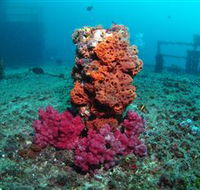 HMAS Brisbane Dive Site - Accommodation Directory