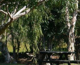 Lower Dyraaba NSW Accommodation Directory