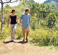 Hoddles Track - Accommodation Directory