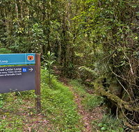 Red Cedar loop - Accommodation Directory