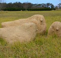 Unreal Rocks Statue Gallery - Accommodation Directory