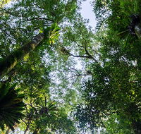 Botanic walk - Accommodation Directory