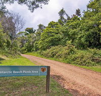 Antarctic Beech picnic area - Accommodation Directory