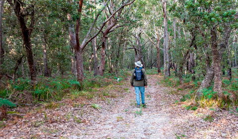 Narrawallee Inlet Walking Track - Accommodation Directory 1