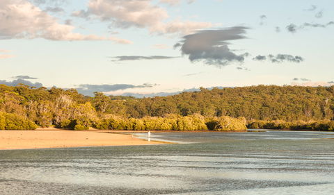 Narrawallee Inlet Walking Track - Accommodation Directory 3