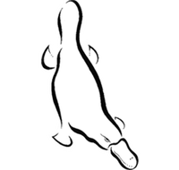 Platypus Gallery - Accommodation Directory