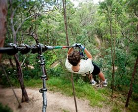 TreeTop Challenge - Accommodation Directory 0
