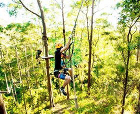 TreeTop Challenge - Accommodation Directory 3