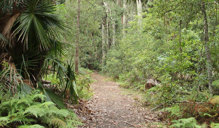 East Lynne NSW Accommodation Directory