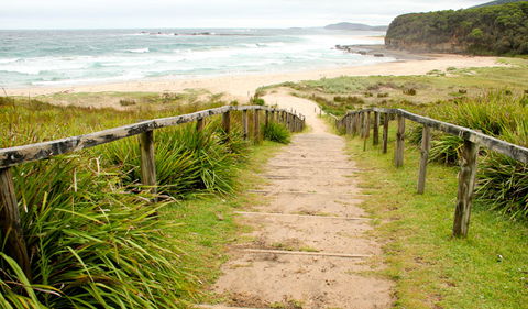Pretty Beach To Durras Mountain Walking Track - Accommodation Directory 0