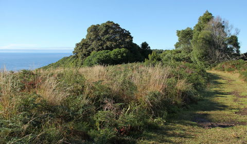Pretty Beach To Durras Mountain Walking Track - Accommodation Directory 2