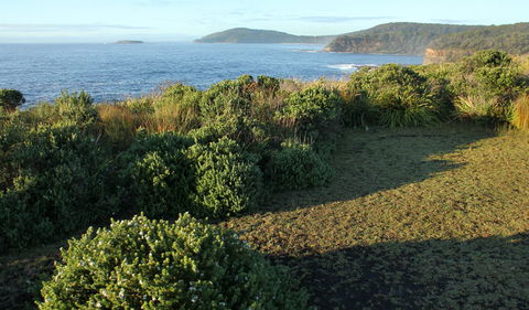 Pretty Beach To Durras Mountain Walking Track - Accommodation Directory 3