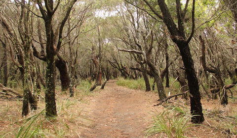 Pretty Beach To Snapper Point Walking Track - Accommodation Directory 0