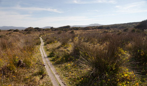 Murramarang Aboriginal Area Walking Track - Accommodation Directory 2