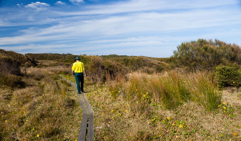 Murramarang Aboriginal Area Walking Track - Accommodation Directory 3