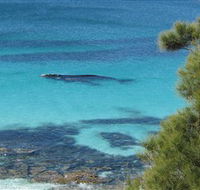 Jervis Bay Marine Park - Accommodation Directory
