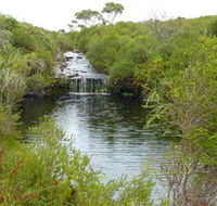 Booderee National Park Green Patch and Telegraph Creek Walking Tracks - Accommodation Directory