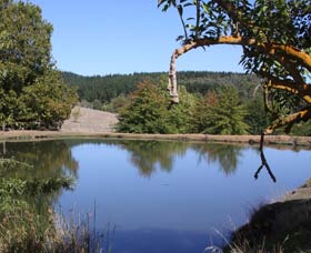 Oak Grove Walk, Balingup - Accommodation Directory 0