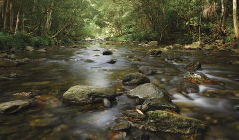 Plateau Circuit Loop Trail - Accommodation Directory 0
