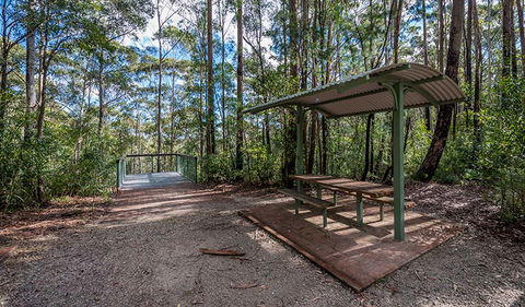 Big Nellie Lookout And Picnic Area - Accommodation Directory 0