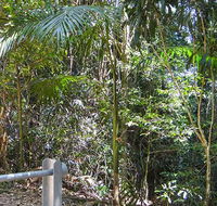 Goorgana walking track - Accommodation Directory