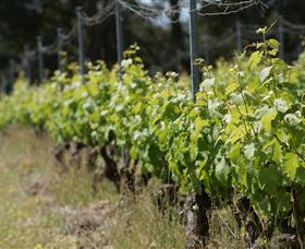 Barton Jones Wines - Accommodation Directory 2