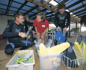 Dolphin Discovery Centre - Accommodation Directory 1