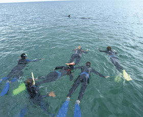 Dolphin Discovery Centre - Accommodation Directory 2