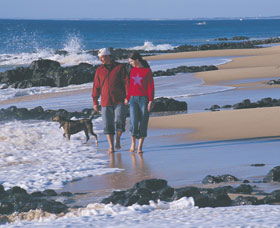 Back Beach - Accommodation Directory 0