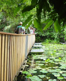 Girards Hill NSW Accommodation Directory