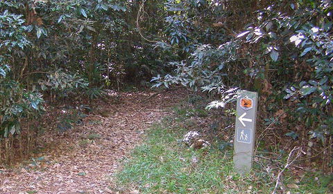 Big Scrub Loop Walking Track - Accommodation Directory 2