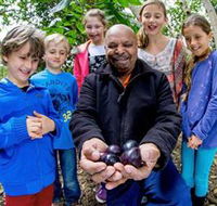 Wigay Aboriginal Culture Park - Accommodation Directory