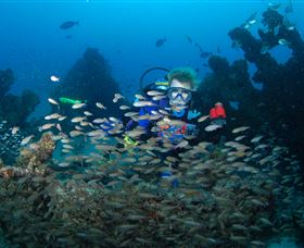 Aarhus Dive Site - Accommodation Directory 0