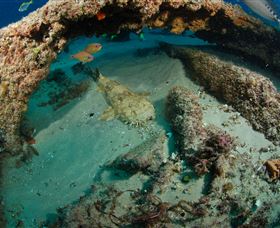 Aarhus Dive Site - Accommodation Directory 3