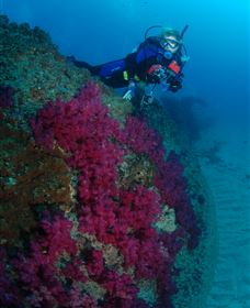 Aarhus Dive Site - Accommodation Directory 2