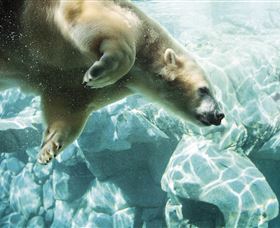 Australia's Sea World - Accommodation Directory 0