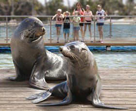 Australia's Sea World - Accommodation Directory 1